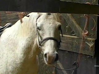 臟 野 性別 在 一 barn 為 調皮 農場 女孩